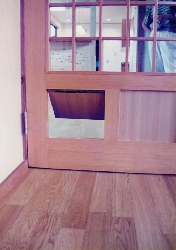 江本　猫ドア.jpg